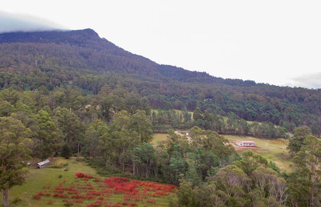 Mountain Blue Guest Accommodation - Foto 24