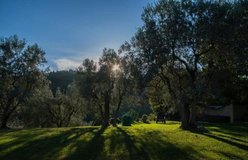 La Sassaia - Foto 36