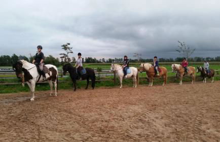 Ferienhof Am Birkensee 55125 - Foto 11