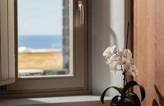 Platies Luxury Apartments Santorini - Foto 28