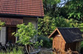 Jaworowy Stok z widokiem na góry i ogrodem - Foto 2