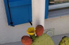 La collina sui trabocchi - Foto 73