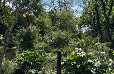 Les palmiers de Valence - Foto 11