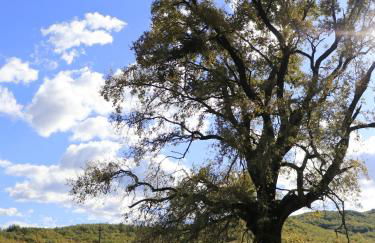 The Strawhouse under the mountain - Foto 52