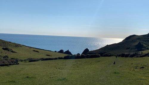 Driftwood Lodge - Foto 5