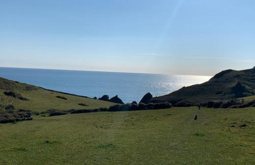 Driftwood Lodge - Foto 5