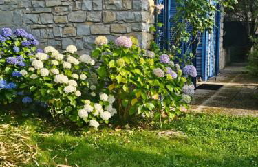 Villa Maria Lago Maggiore 2 - Foto 20