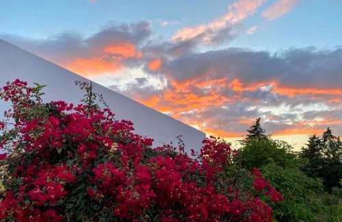 Quinta Vale da Paz - Foto 47