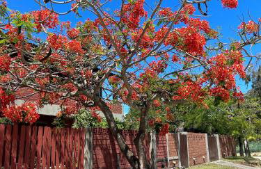 Serrambi Paradise - Photo 30