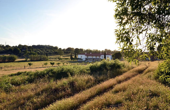 Quinta dos Carvalhos - Foto 28