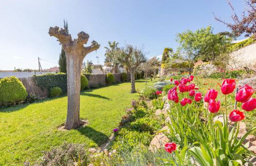 2MG - Blanes - Foto 6