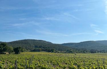 Petit Paradis - Foto 12