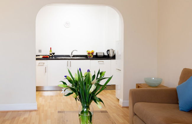 SACO Jersey Merlin House - Foto 79