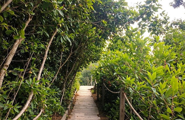 Apartamentos Reserva del Mar - by SOHO - Foto 37