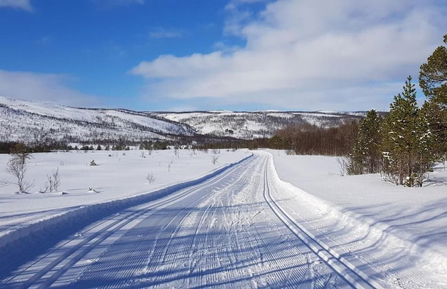 Elvestua House in Nature - Foto 31