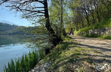 Green House Next - Lovely Apartment for family and Free Parking - Photo 35