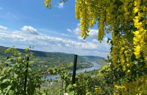 Apartment an der Mosel 2 - Foto 55