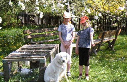 Hiemer 2 Comfortable holiday residence - Foto 10