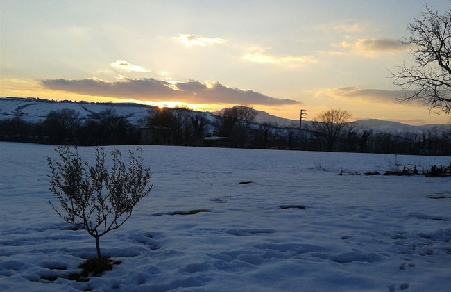 Agriturismo Le Spighe - Foto 46