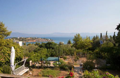 Seaview Resort - Foto 46