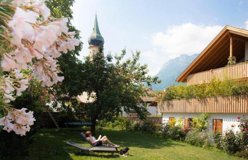 Obstbauernhof Bundschuh - Dogs welcome - Photo 25