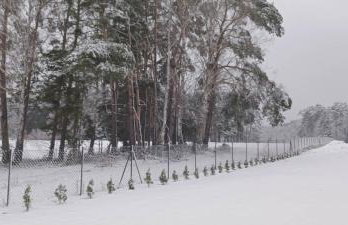 Wierzchy 34 - Photo 47