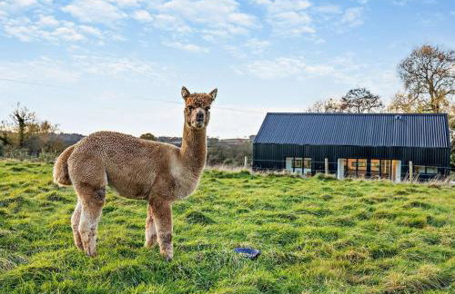 3 Bed in Ashbourne oc-93331 - Foto 36