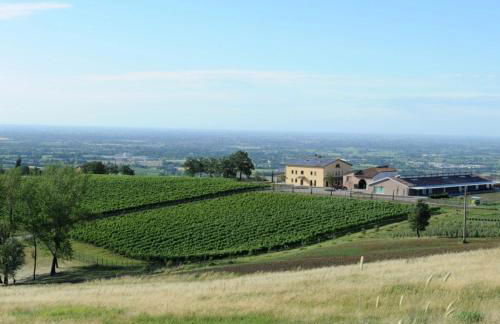 Pianderna Agriwellness - Photo 59