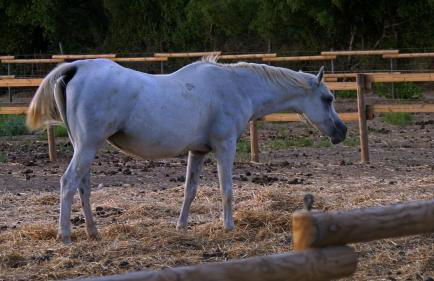 Agriturismo Santa Lucia - Foto 46
