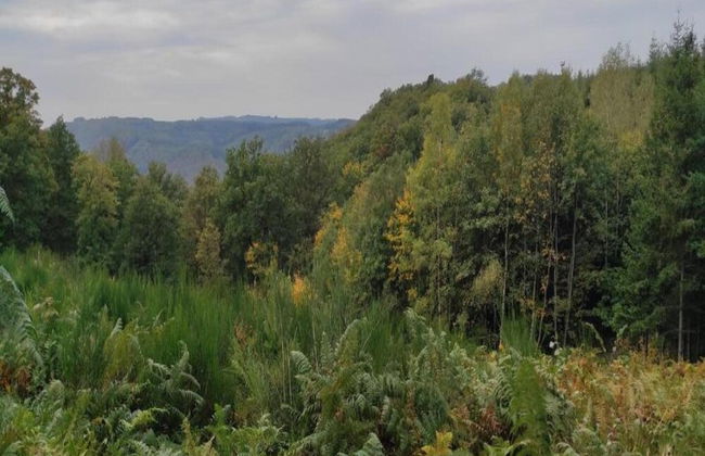 Charming Villa in La Roche en Ardenne - Photo 41