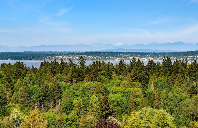 Seattle Vacation Home: The Tuscan Villa - Foto 46