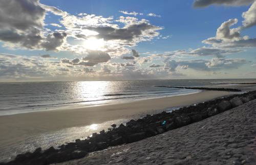 L'Albatros 15 - Foto 11