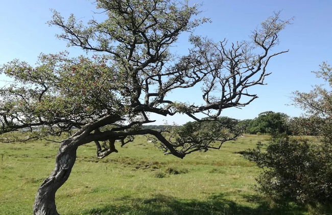 6 Person Holiday Home in Kettinge - Foto 22