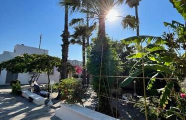 Domaine des Palmiers - Foto 12