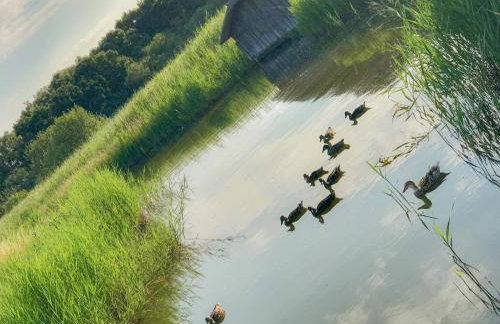 The Old Dairy - Foto 25