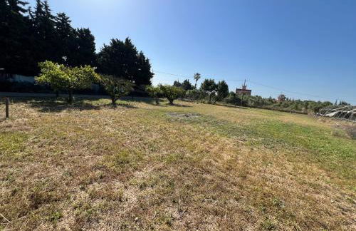 Casa olivar de Riudoms - Foto 18