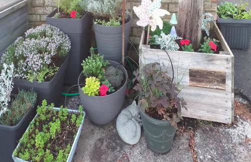 Honeysuckle Cottage - Foto 17