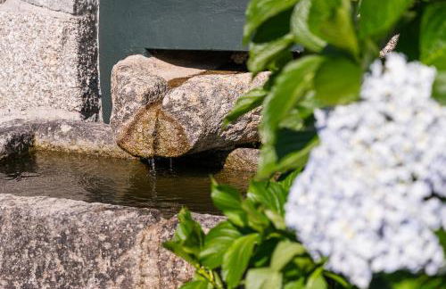 Casa do Pomar - Manor House - Foto 55