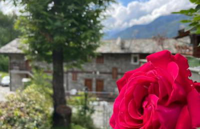 Orobie Holiday Apartments - Foto 29