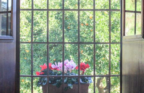 Antica Cantina Emilia - Foto 110