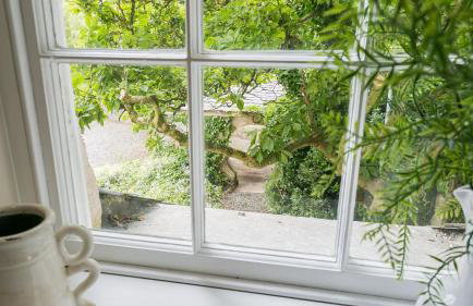 Treiorwerth - Foto 63