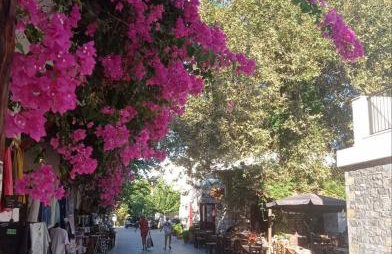 Roummi Suite Mirtos - Foto 56