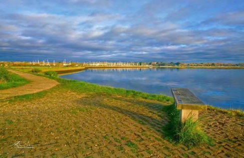 Vitre Gardens - Foto 52