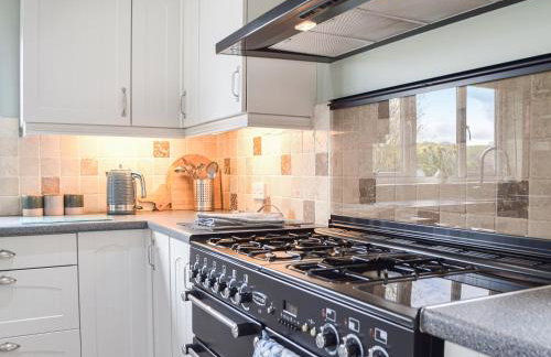 Rhosyn Gwyn - Foto 7