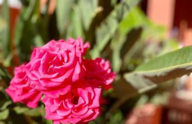 Beach Apartment Tropical Golf Playa Granada - Foto 12