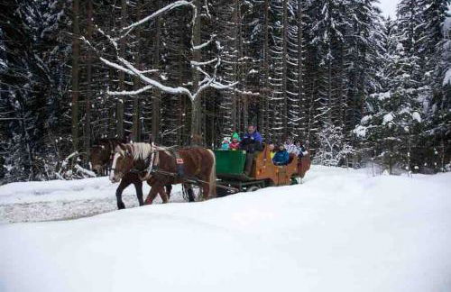 Exklusives Apartment mit Schwimmbad im Allgäu - Foto 36