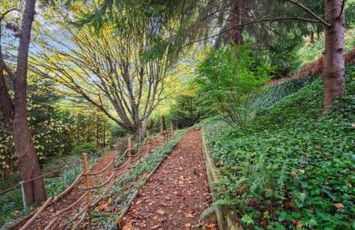 Secret Garden Getaway - Apartment in Asheville near the Great Smokey Mountains! - Foto 10