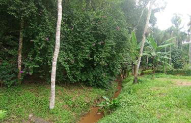 Recanto da Floresta - Photo 9