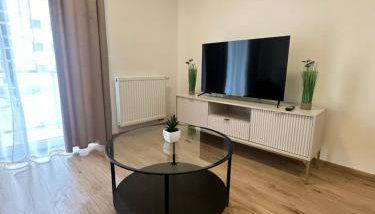 Apartament ŻELAZNY HGS Home - Foto 4