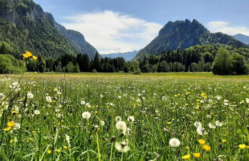 Ferienwohnungen im Griachalgarten - Chiemgau Karte - Foto 12